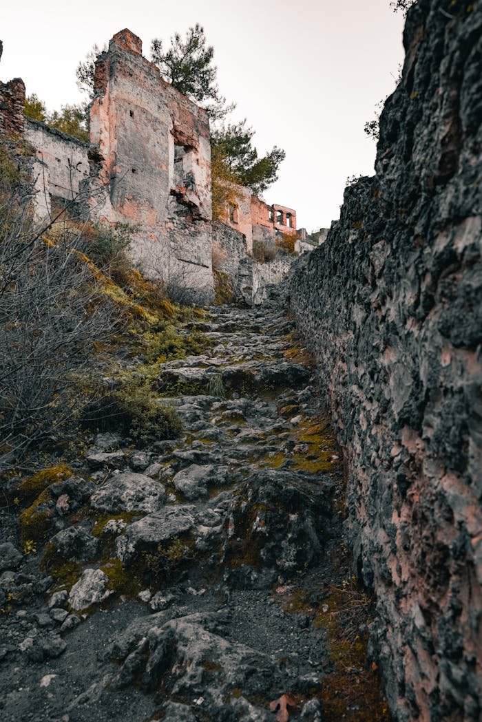 Moody path through an abandoned village in autumn, capturing a sense of mystery.